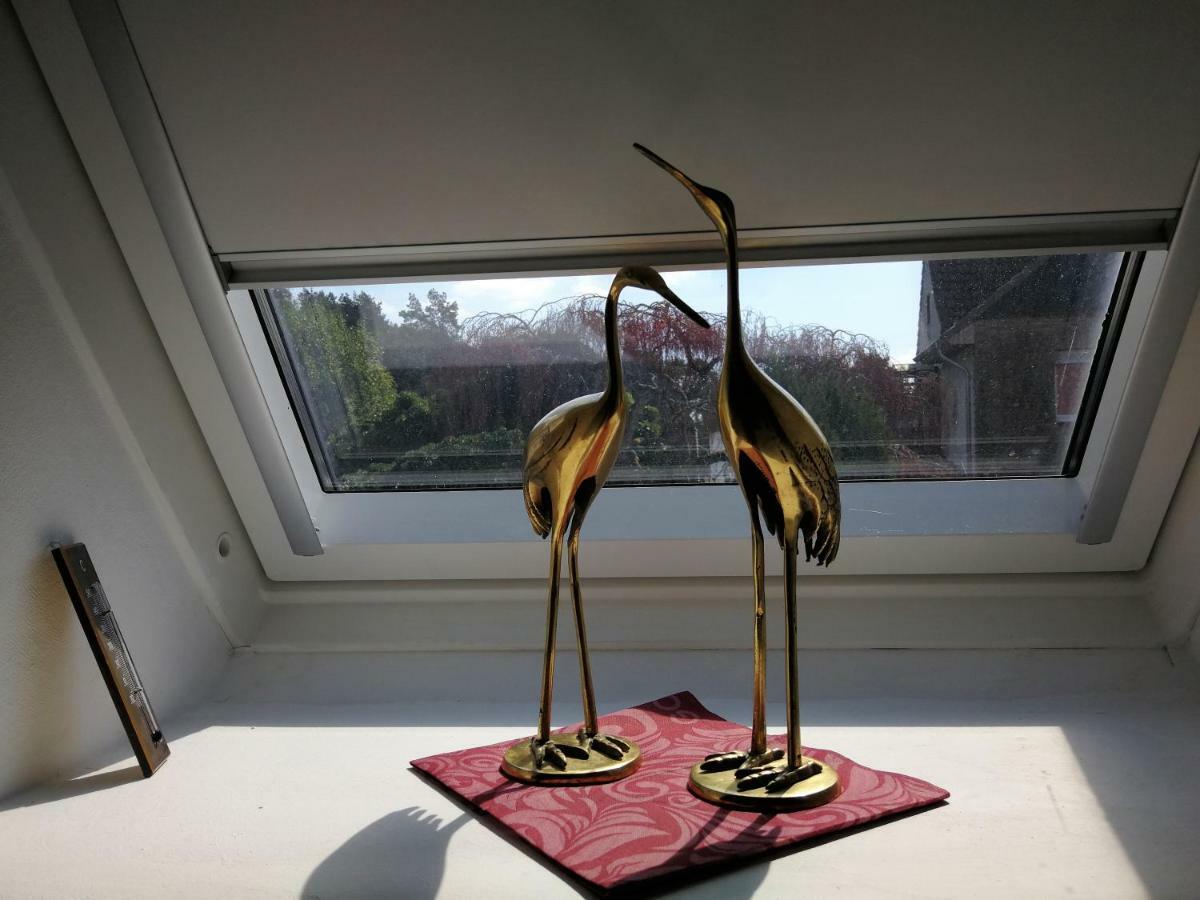 Ardea Alba Wunstorf Exterior photo