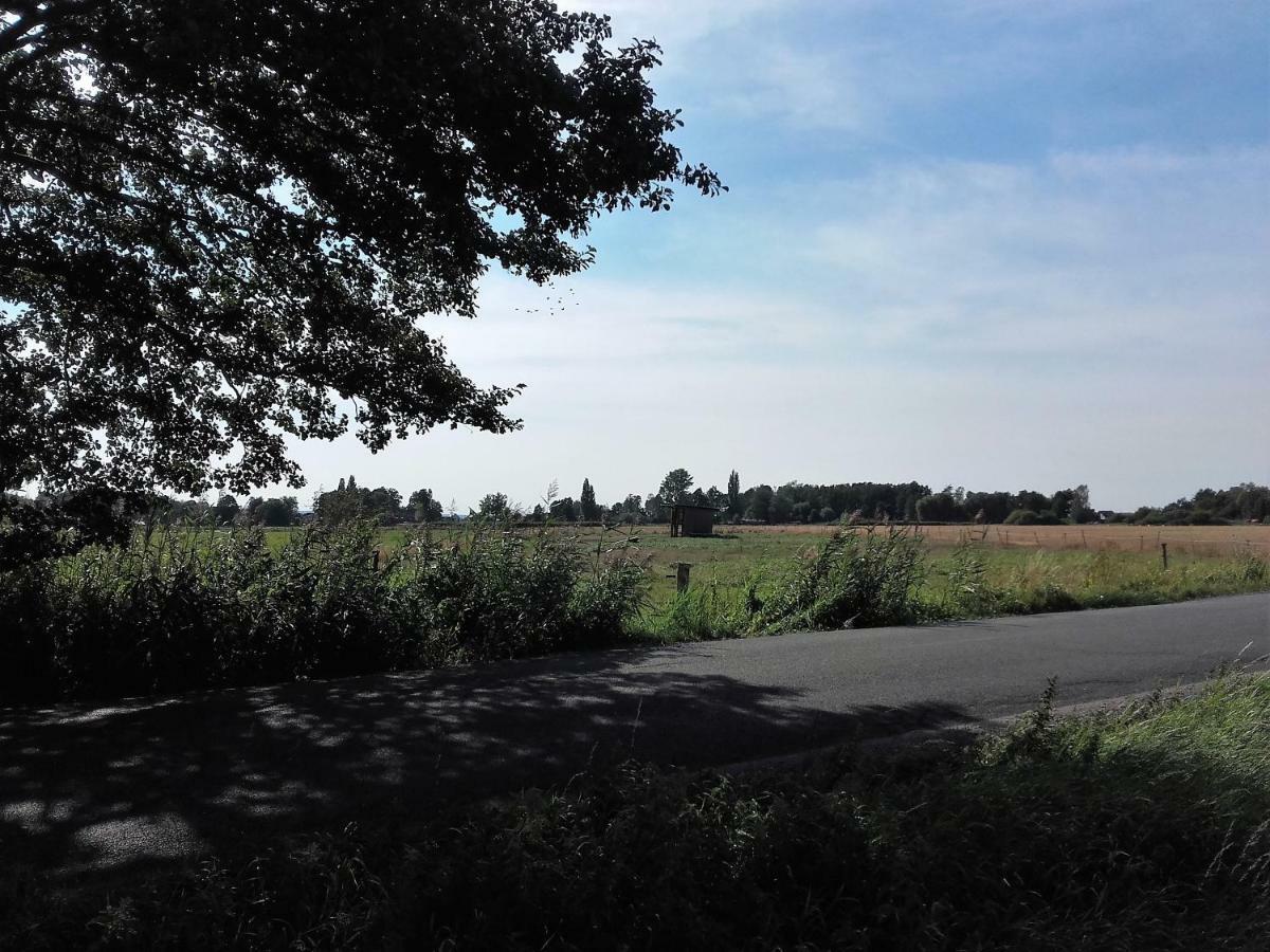 Ardea Alba Wunstorf Exterior photo